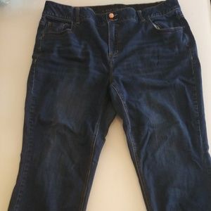 Lane bryant Boot Cut Jeans